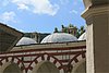IMG_6068.JPG
