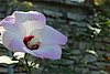 IMG_6115.JPG