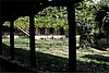 IMG_6244.JPG