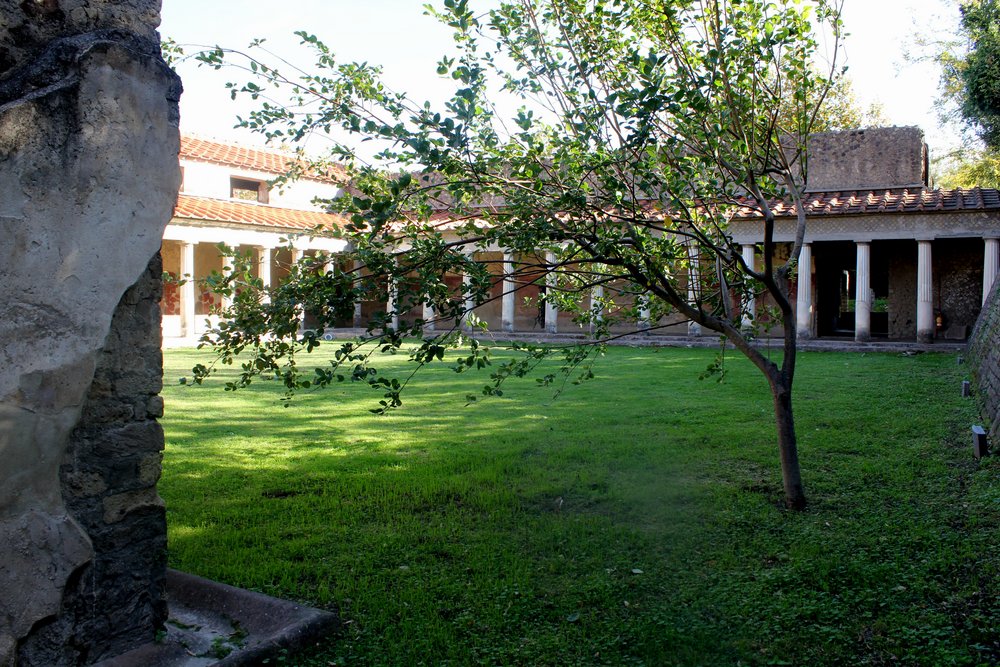 T A oplontis scavi (9).JPG