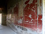 T A oplontis scavi (8).JPG