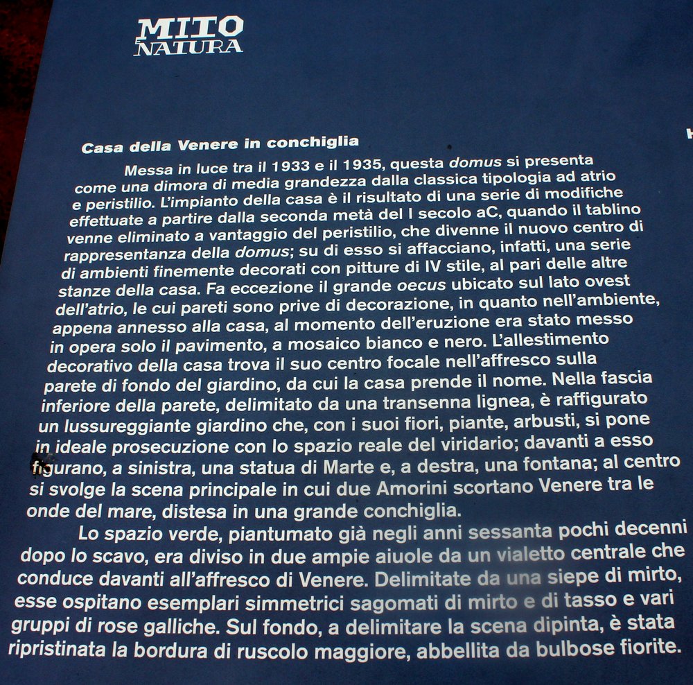 pomperi - casa della venere in conchiglia (1).JPG