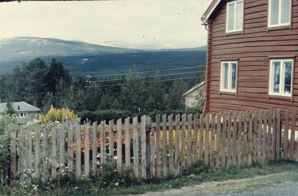 2nor (95)1.jpg
