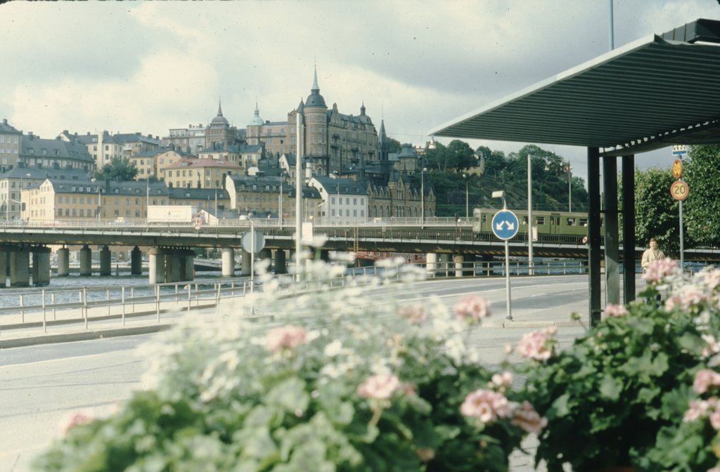 4swe (5).jpg