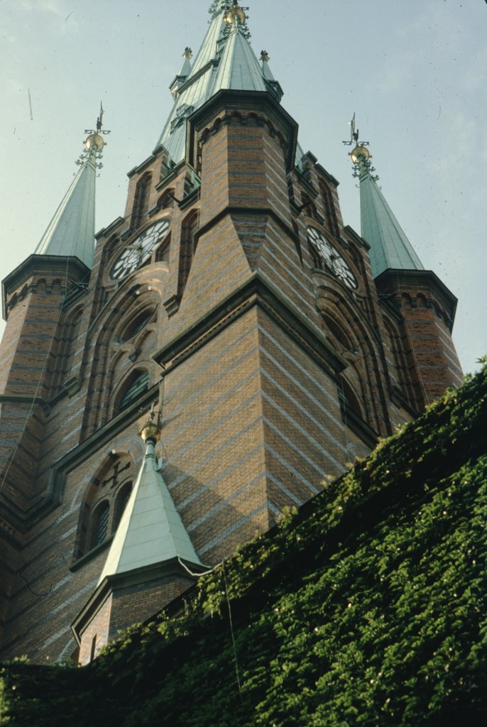 4swe (9).jpg