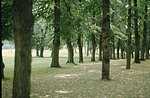 2nor (81).jpg