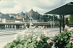4swe (5).jpg