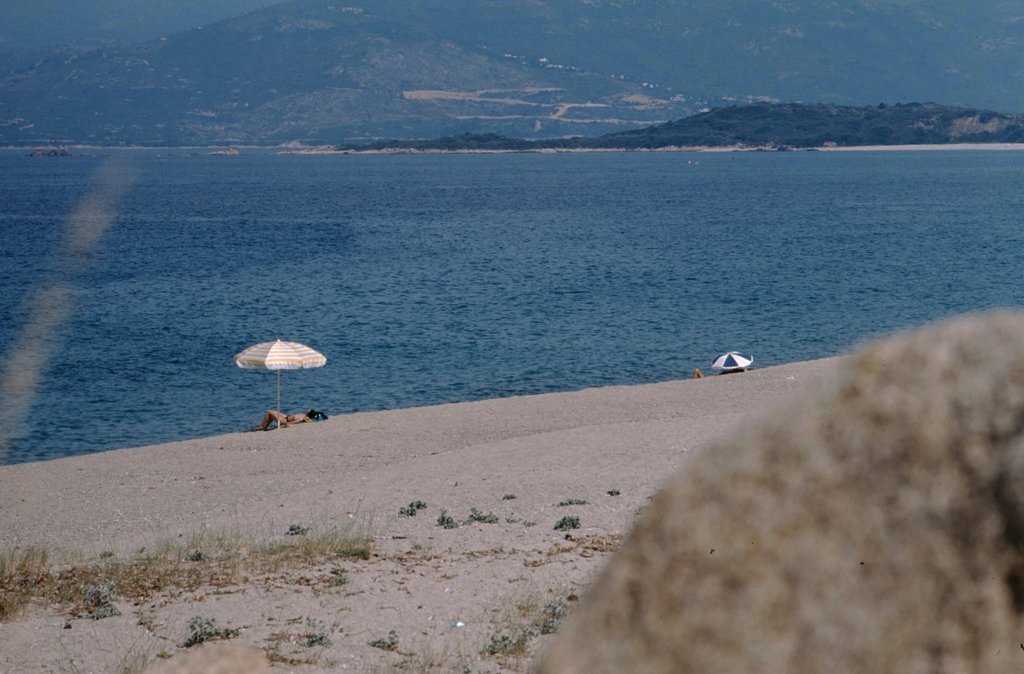 corsica12.jpg