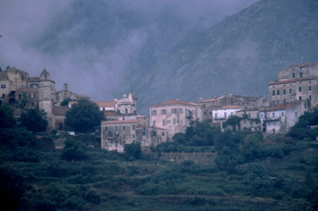 corsica19.jpg
