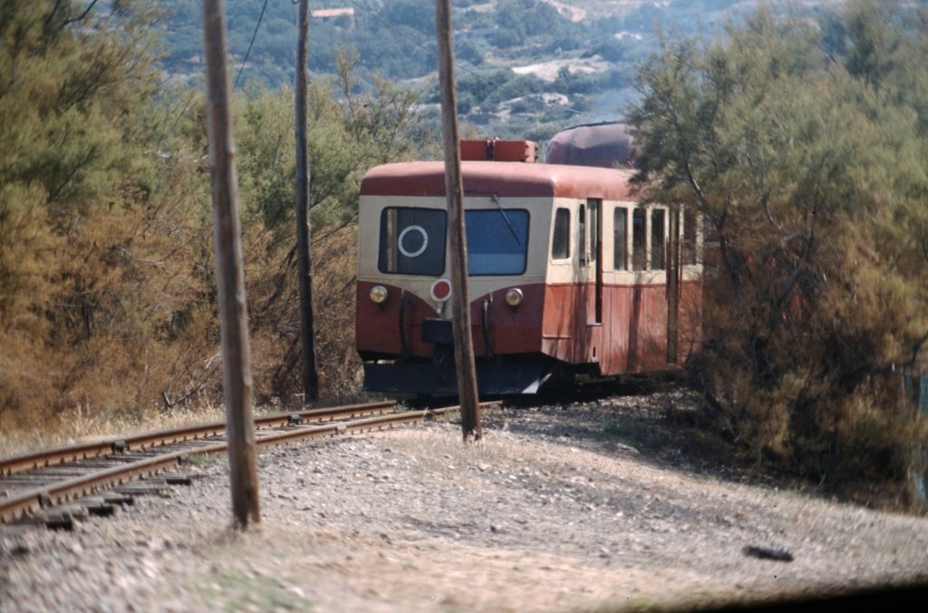 corsica31.jpg