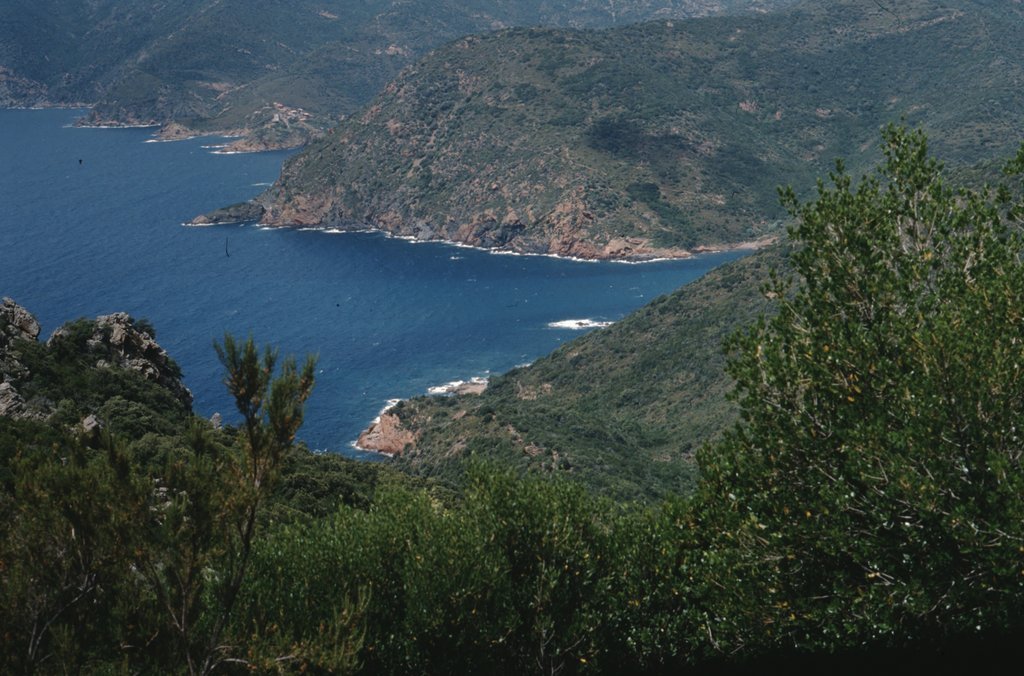 corsica_92 (10).jpg