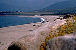 corsica07.jpg