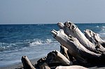corsica_92 (27).jpg