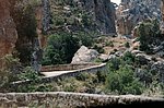 corsica_92 (3).jpg
