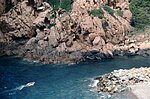 corsica_92 (5).jpg
