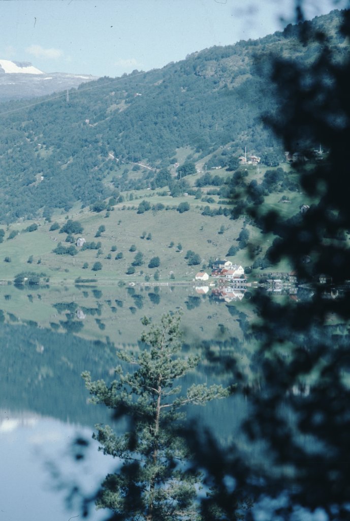 3nor 49.jpg