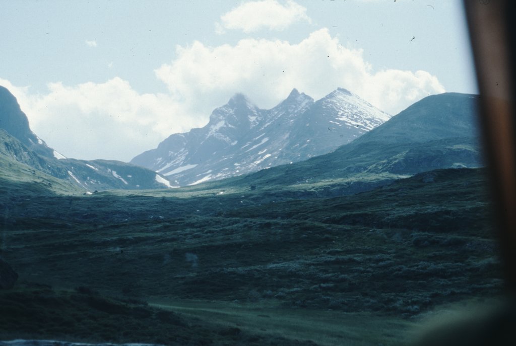 3nor 65.jpg