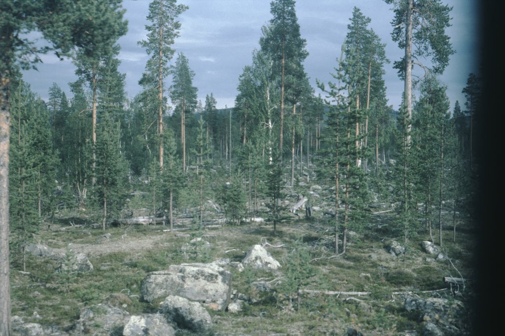 4swe (48).jpg