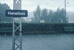 3nor  (9).jpg