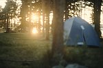 4swe (28).jpg