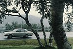 4swe (33).jpg