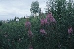 4swe (44).jpg