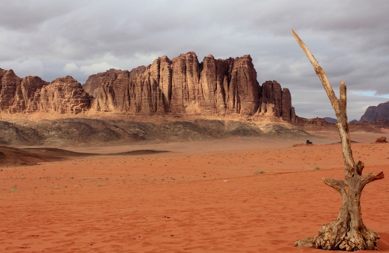 giordania - Wadi Rum  (2).jpg