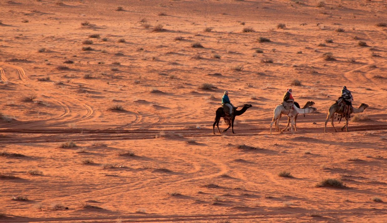 giordania - Wadi Rum  (37).jpg