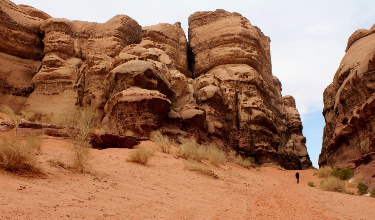 giordania - Wadi Rum  (57).jpg