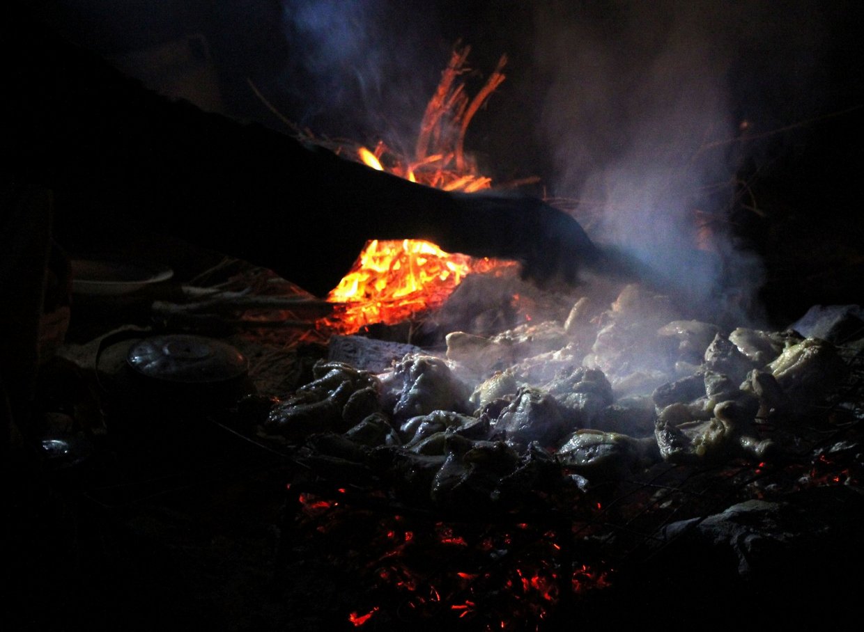 giordania - Wadi Rum  (63).jpg