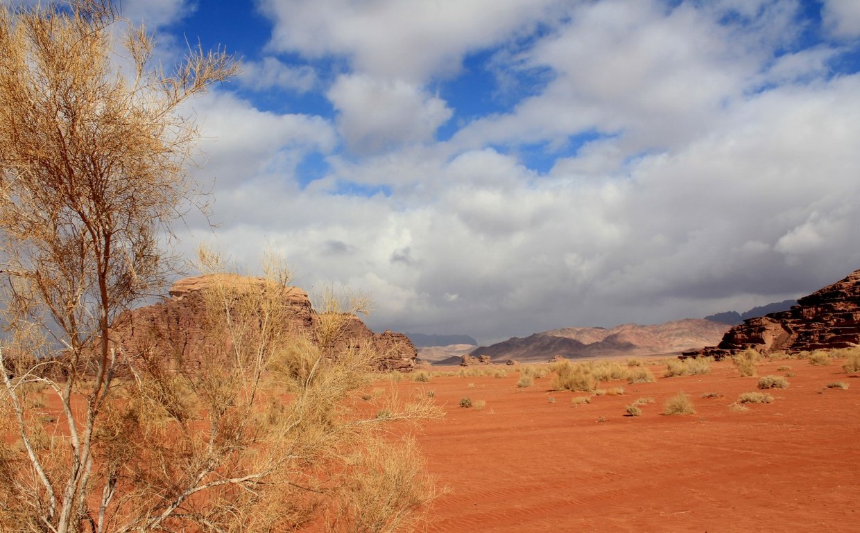 giordania - Wadi Rum  (7).jpg