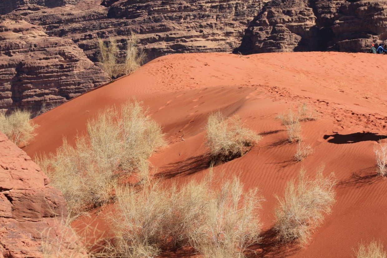 giordania - Wadi Rum  (72).jpg