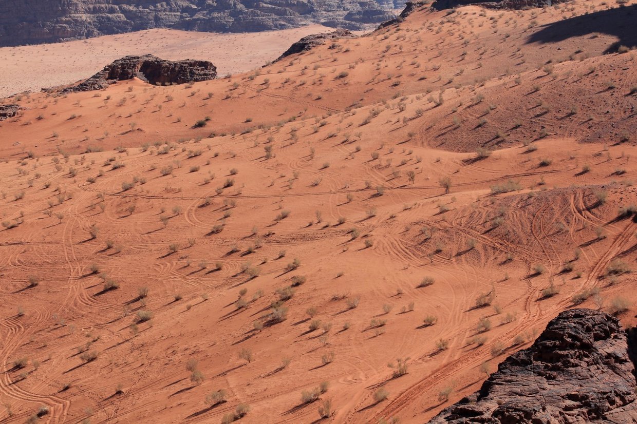 giordania - Wadi Rum  (75).jpg
