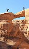 giordania - Wadi Rum  (41).jpg