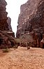 giordania - Wadi Rum  (52).jpg