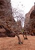giordania - Wadi Rum  (53).jpg