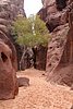 giordania - Wadi Rum  (54).jpg