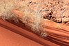 giordania - Wadi Rum  (73).jpg