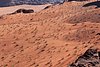 giordania - Wadi Rum  (75).jpg