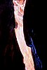 giordania - petra (3).jpg