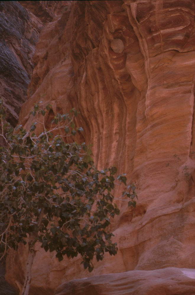 petra (5).jpg