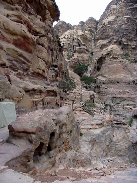 petra giordania 09 (78).JPG