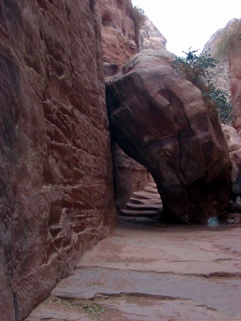 petra giordania 09 (85).JPG