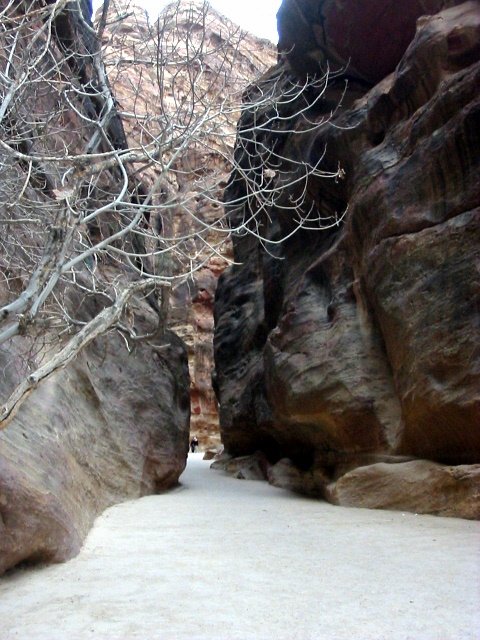 petra giordania 09 (96).JPG