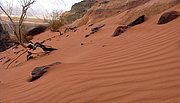 Wadi Rum (13).JPG