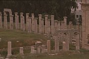 jerash2 (10).jpg