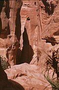 petra (6).jpg