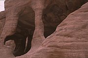 giordania-petra dic2008 001 (8).jpg