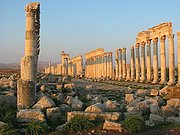 siria apameia.JPG