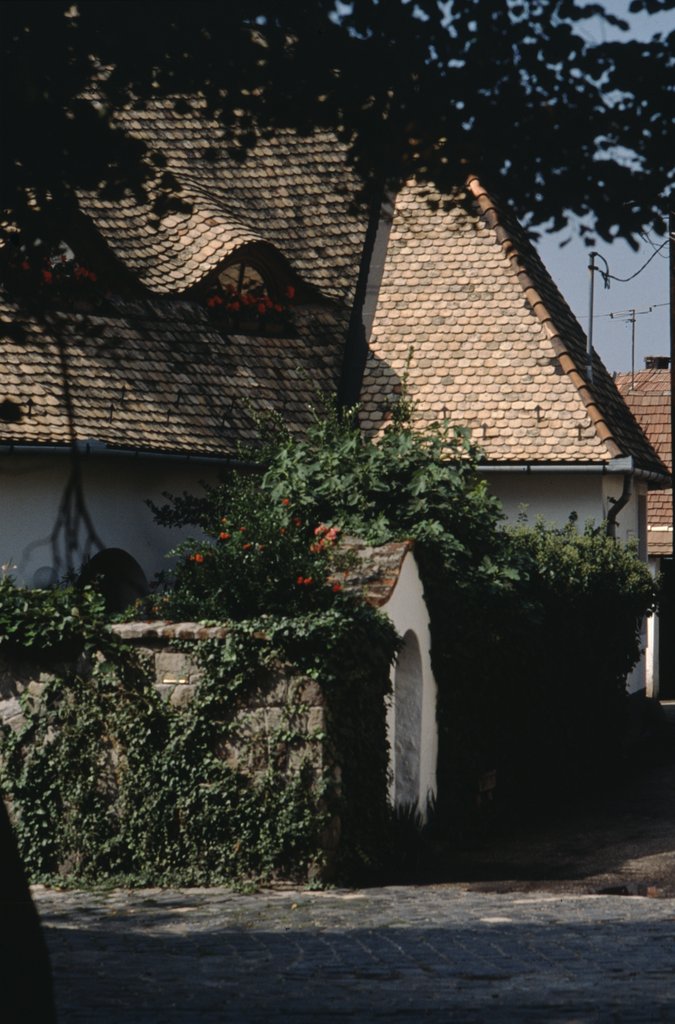 yugo&ung1990-budapest (26).jpg